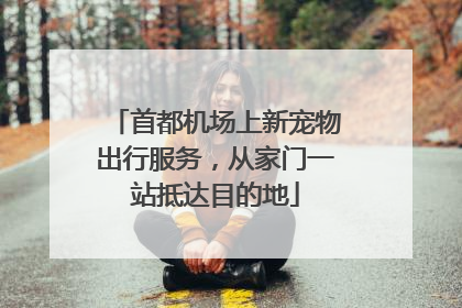 首都机场上新宠物出行服务，从家门一站抵达目的地