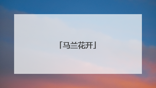 马兰花开