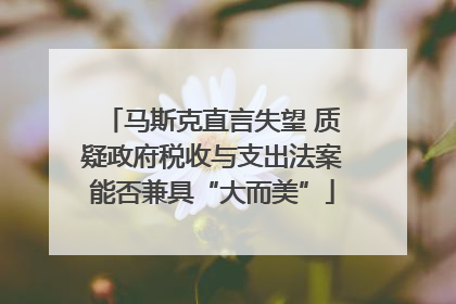 马斯克直言失望 质疑政府税收与支出法案能否兼具“大而美”
