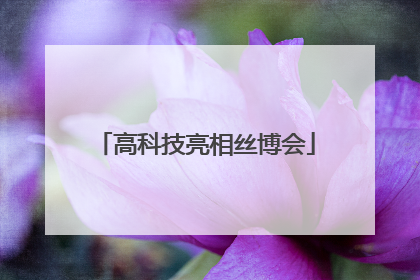 高科技亮相丝博会