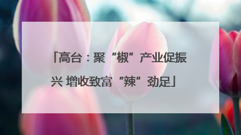 高台：聚“椒”产业促振兴 增收致富“辣”劲足