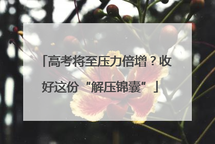 高考将至压力倍增？收好这份“解压锦囊”
