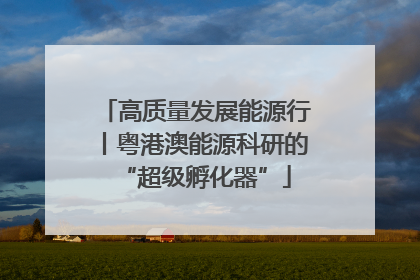 高质量发展能源行丨粤港澳能源科研的“超级孵化器”
