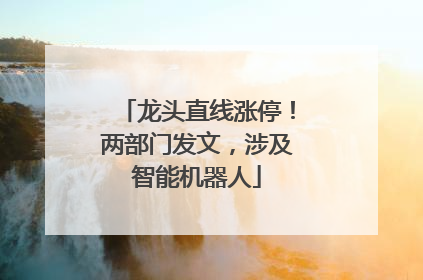 龙头直线涨停！两部门发文，涉及智能机器人