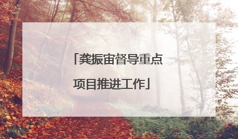 龚振宙督导重点项目推进工作