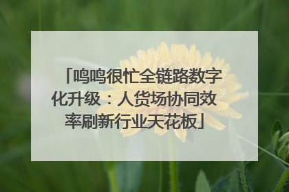 鸣鸣很忙全链路数字化升级：人货场协同效率刷新行业天花板