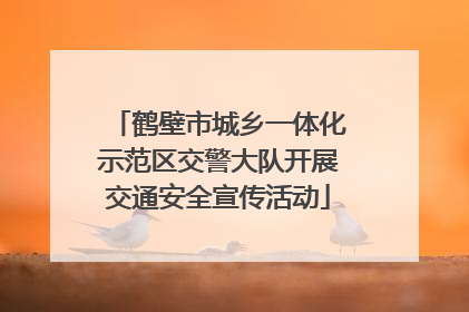 鹤壁市城乡一体化示范区交警大队开展交通安全宣传活动