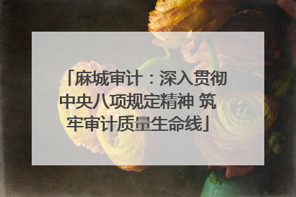 麻城审计：深入贯彻中央八项规定精神 筑牢审计质量生命线