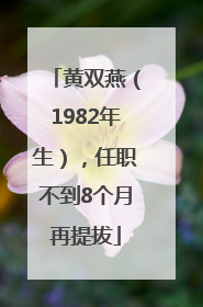 黄双燕（1982年生），任职不到8个月再提拔