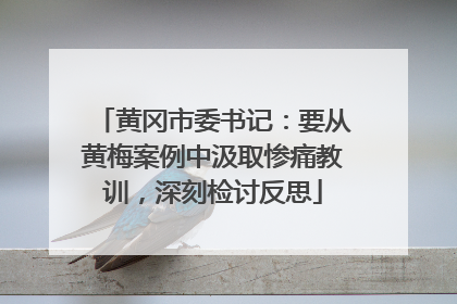 黄冈市委书记：要从黄梅案例中汲取惨痛教训，深刻检讨反思