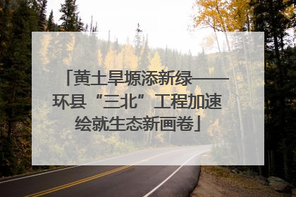 黄土旱塬添新绿——环县“三北”工程加速绘就生态新画卷
