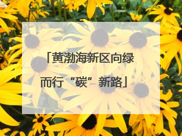 黄渤海新区向绿而行“碳”新路