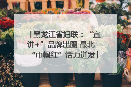 黑龙江省妇联：“宣讲+”品牌出圈 最北“巾帼红”活力迸发