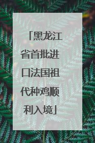 黑龙江省首批进口法国祖代种鸡顺利入境