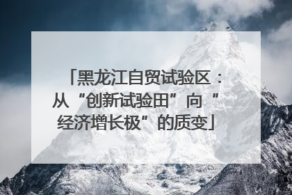 黑龙江自贸试验区：从“创新试验田”向“经济增长极”的质变