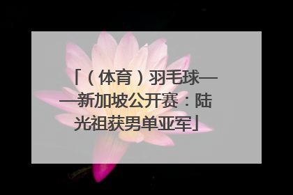 （体育）羽毛球——新加坡公开赛：陆光祖获男单亚军