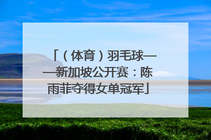 （体育）羽毛球——新加坡公开赛：陈雨菲夺得女单冠军