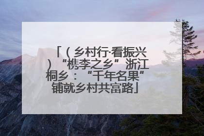 （乡村行·看振兴）“槜李之乡”浙江桐乡：“千年名果”铺就乡村共富路
