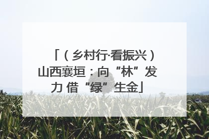 （乡村行·看振兴）山西襄垣：向“林”发力 借“绿”生金