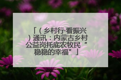 （乡村行·看振兴）通讯：内蒙古乡村公益岗托底农牧民“稳稳的幸福”