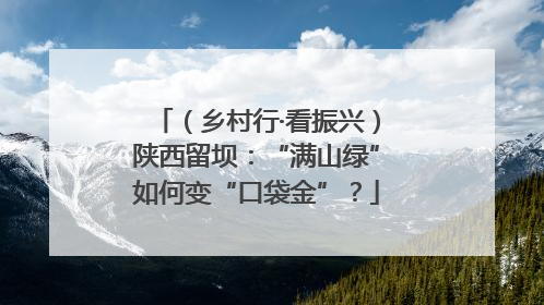 （乡村行·看振兴）陕西留坝：“满山绿”如何变“口袋金”？