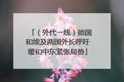 （外代一线）德国和埃及两国外长呼吁缓和中东紧张局势