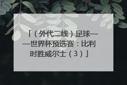 （外代二线）足球——世界杯预选赛：比利时胜威尔士（3）