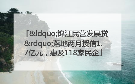 “锦江民营发展贷”落地两月授信1.7亿元，惠及118家民企