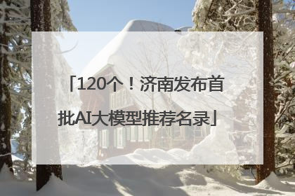 120个！济南发布首批AI大模型推荐名录