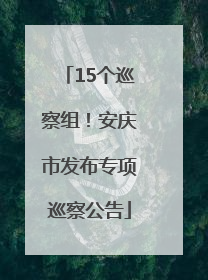 15个巡察组！安庆市发布专项巡察公告