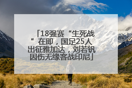 18强赛“生死战”在即，国足25人出征雅加达，刘若钒因伤无缘客战印尼