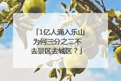1亿人涌入乐山 为何三分之二不去景区去城区？