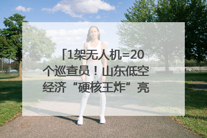 1架无人机=20个巡查员！山东低空经济“硬核王炸”亮相青岛，下一个万亿赛道藏在这里