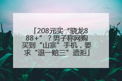 208元买“骁龙888+”？男子称网购买到“山寨”手机，要求“退一赔三”遭拒