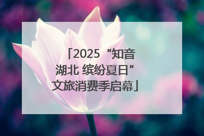 2025“知音湖北 缤纷夏日”文旅消费季启幕