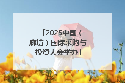 2025中国（廊坊）国际采购与投资大会举办