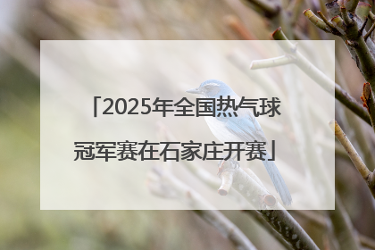 2025年全国热气球冠军赛在石家庄开赛