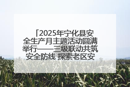 2025年宁化县安全生产月主题活动圆满举行——三级联动共筑安全防线 探索老区安全发展新路径