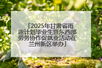 2025年甘肃省雨露计划毕业生暨东西部劳务协作促就业活动在兰州新区举办