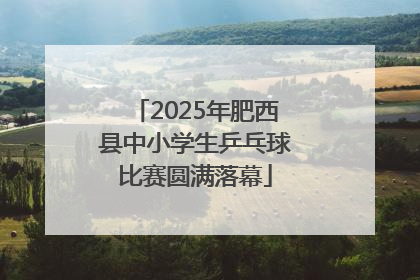 2025年肥西县中小学生乒乓球比赛圆满落幕