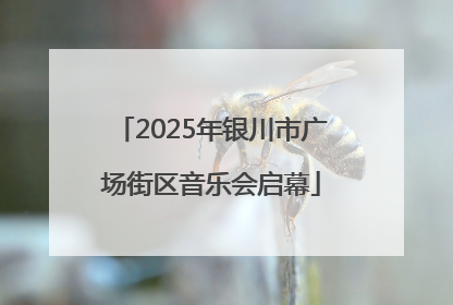2025年银川市广场街区音乐会启幕