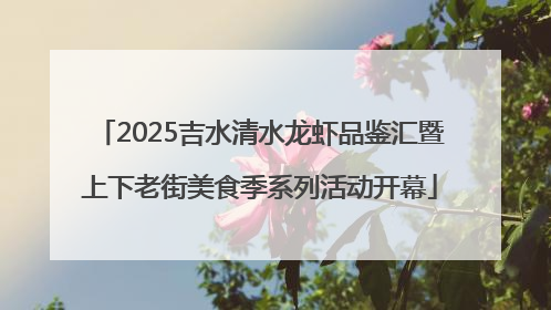 2025吉水清水龙虾品鉴汇暨上下老街美食季系列活动开幕