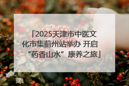 2025天津市中医文化市集蓟州站举办 开启“药香山水”康养之旅