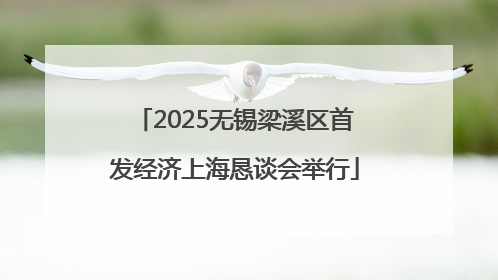 2025无锡梁溪区首发经济上海恳谈会举行