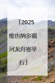 2025维也纳多瑙河龙舟赛举行