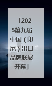 2025第九届中国（印尼）出口品牌联展开幕