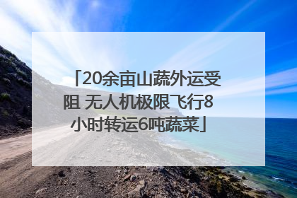 20余亩山蔬外运受阻 无人机极限飞行8小时转运6吨蔬菜