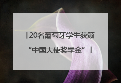 20名葡萄牙学生获颁“中国大使奖学金”