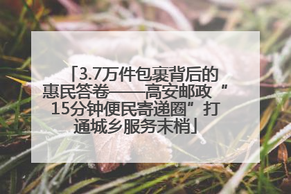 3.7万件包裹背后的惠民答卷——高安邮政“15分钟便民寄递圈”打通城乡服务末梢