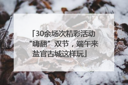 30余场次精彩活动“嗨翻”双节，端午来盐官古城这样玩